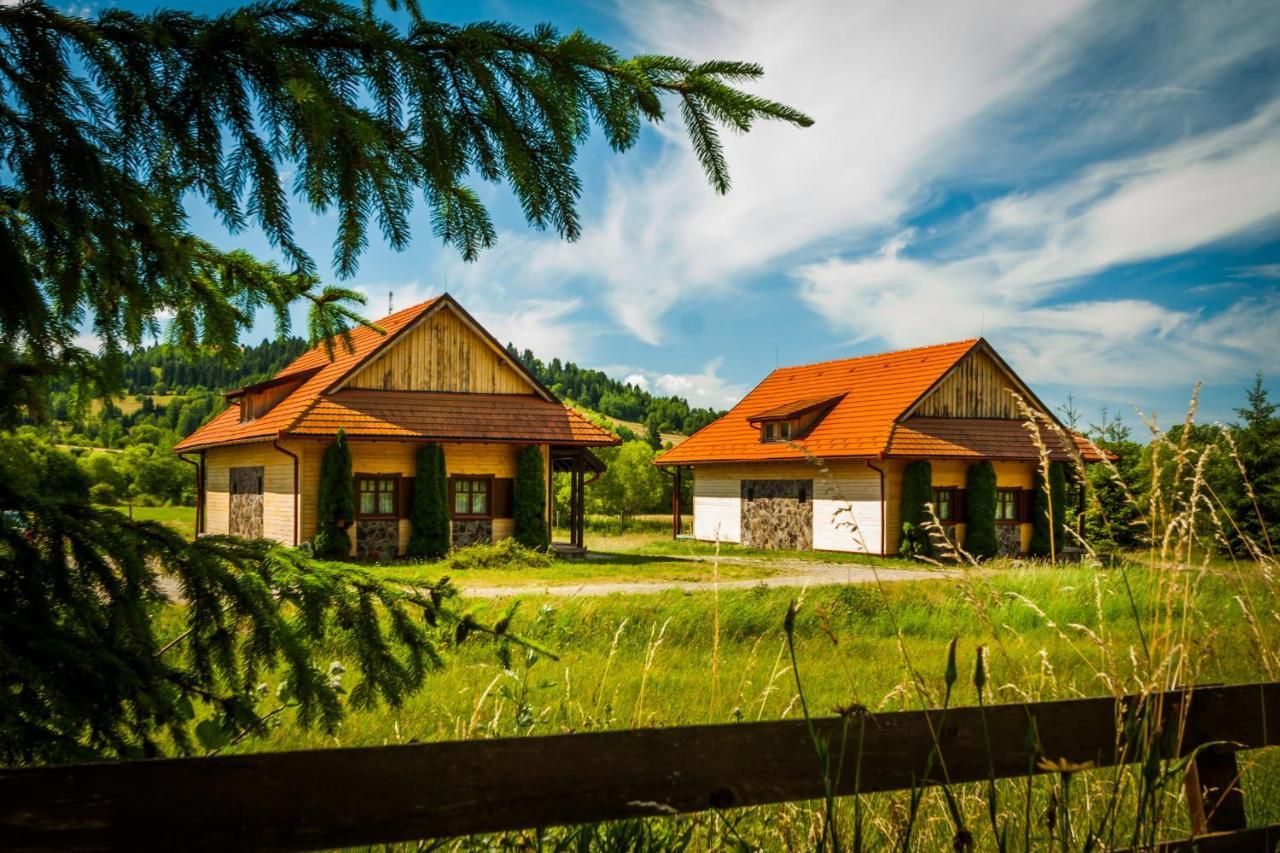 Pensiunea Sapte Flori Gheorgheni  Esterno foto